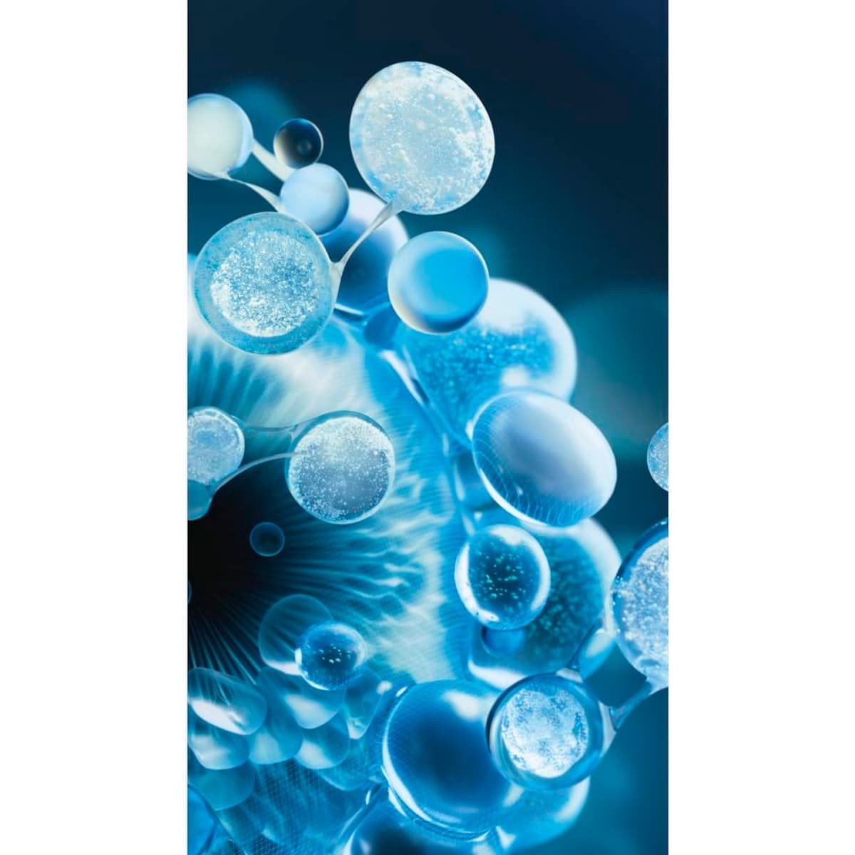 Biotherm Aquasource Hydra Barrier Shoothing Cream-to-Foam Cleanser 2