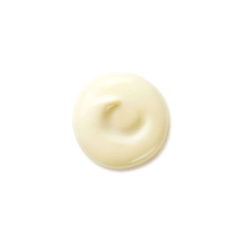 Creme Antienvelhecimento Benefiance Wrinkle Smoothing Day Cream SPF25 50ml Shiseido 3