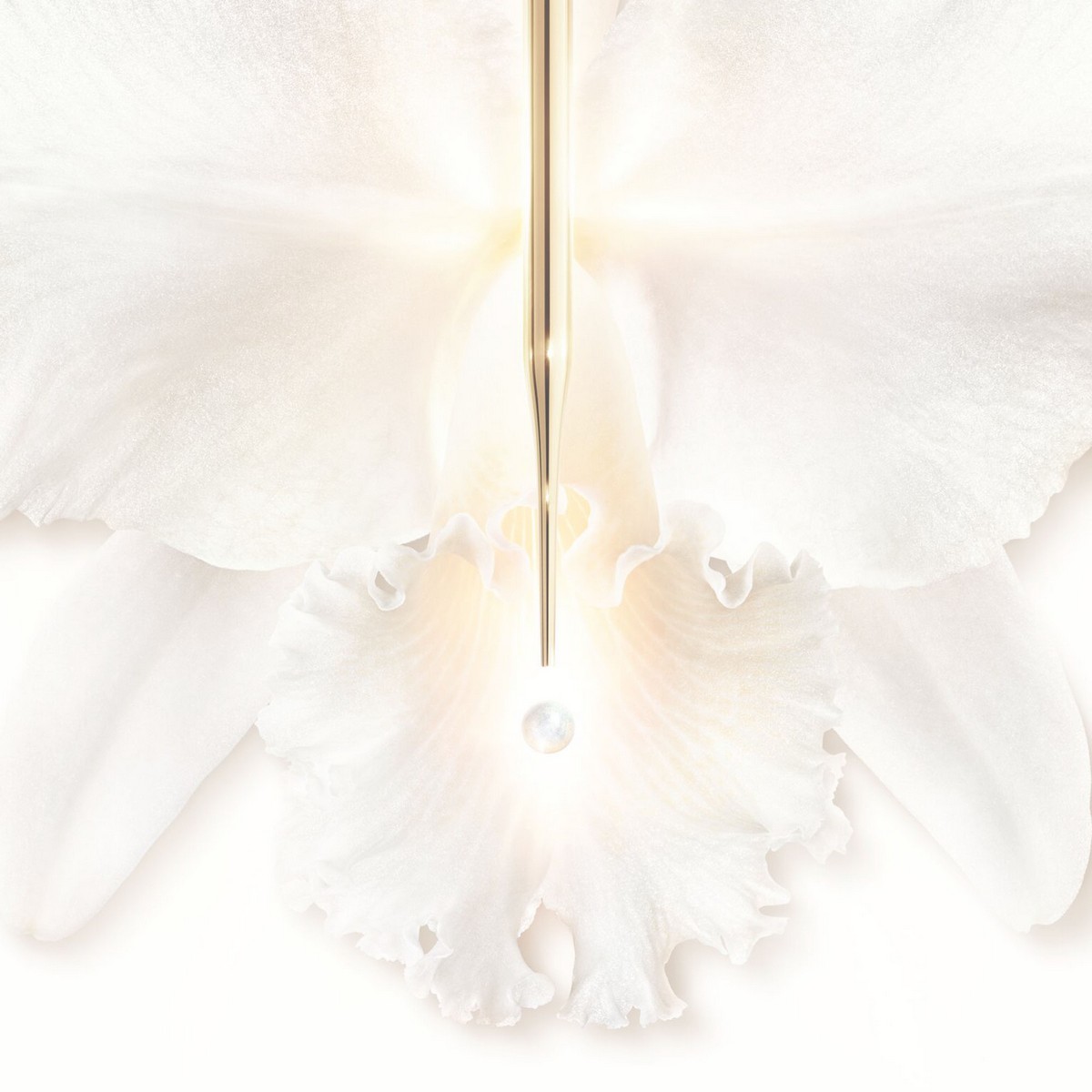 Protetor Global UV Orchidée Impériale Brightening - 30 ml 4