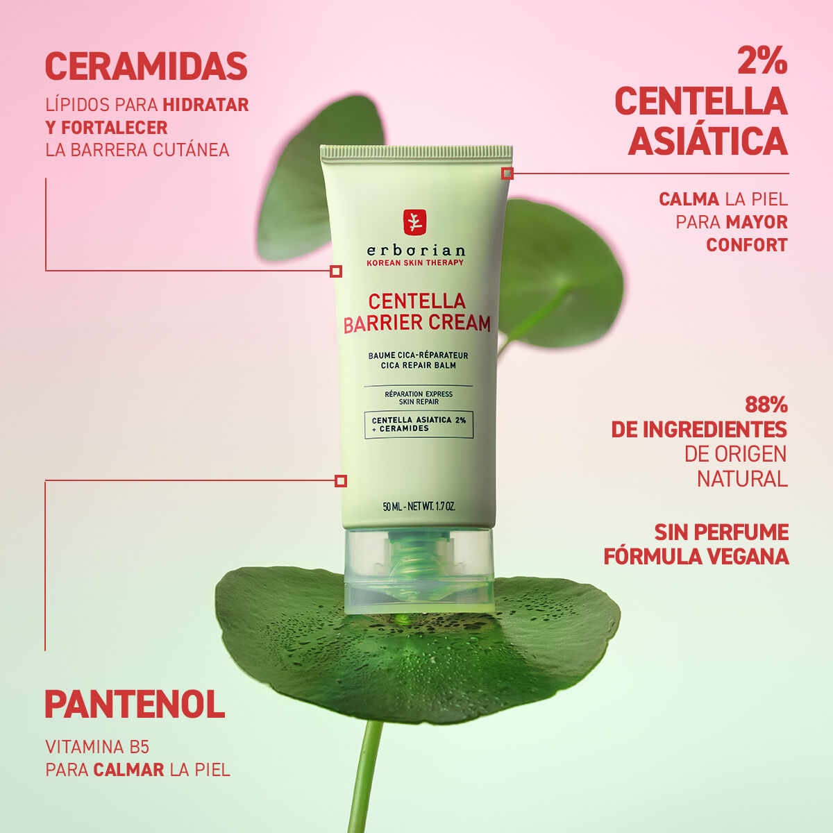 Bálsamo Reparador Centella Barrier Cream 4