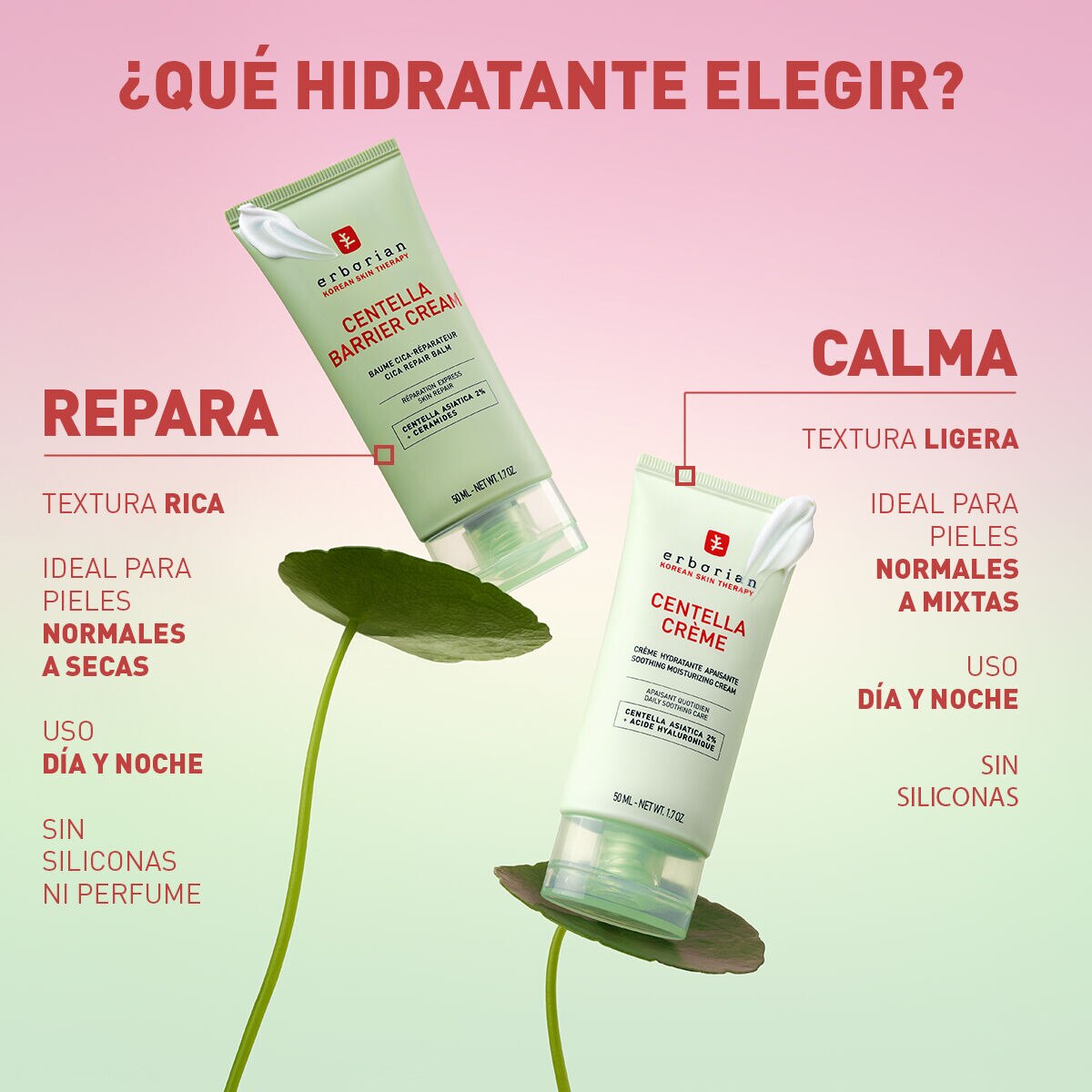 Bálsamo Reparador Centella Barrier Cream 6