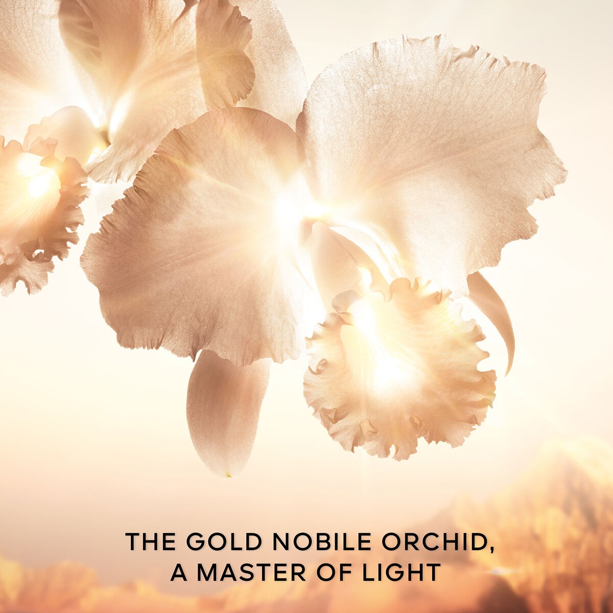Loção Orchidée Impériale Gold Nobile La Goldessence 8