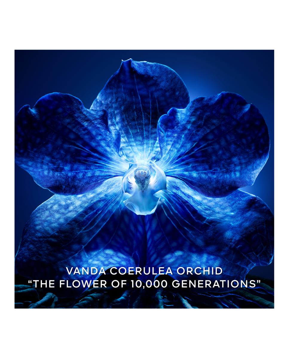 Orchidée Impériale - O Concentrado de Longevidade Refill 5