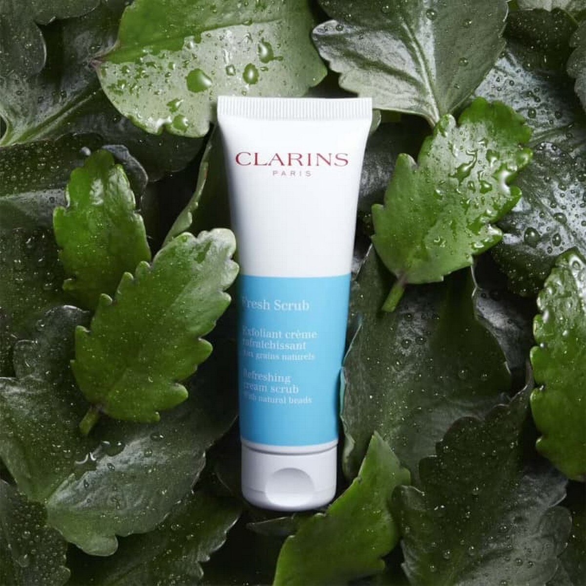 Esfoliante de Rosto Refrescante - 50 ml 5