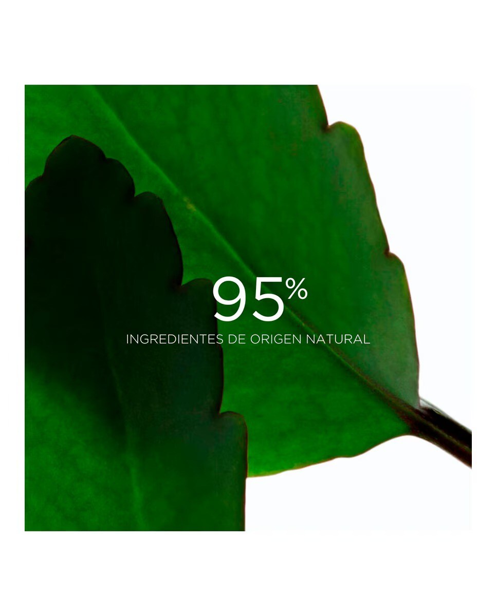 Exfoliante Fresh Scrub 50 ml Clarins 4