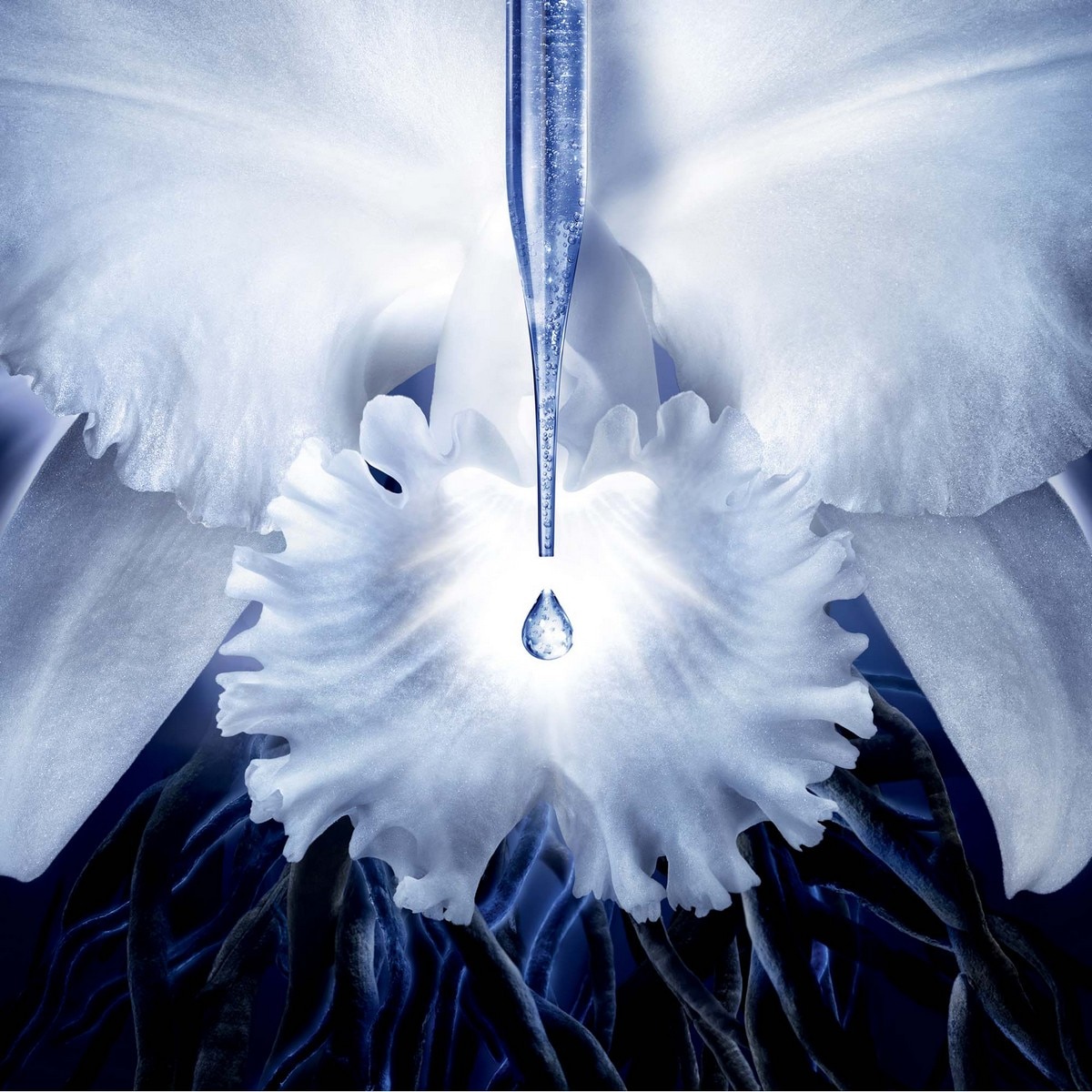 Creme de Contorno de Olhos Orchidée Impériale - 20 ml 5