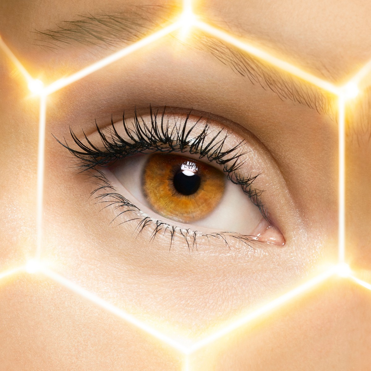 Sérum de Olhos Abeille Royale Double R Renew & Repair - 20 ml 5