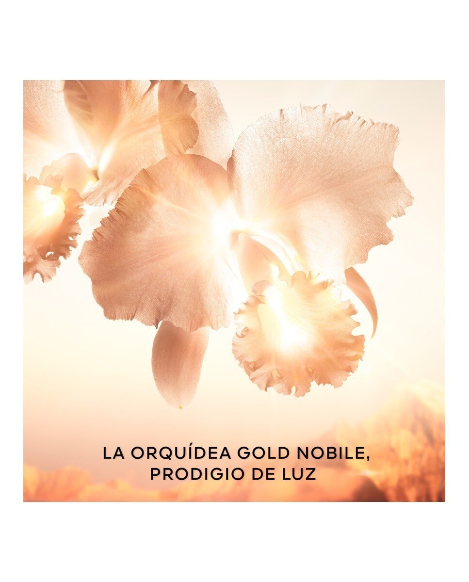 Contorno de Olhos Orchidée Impériale Gold Nobile 6