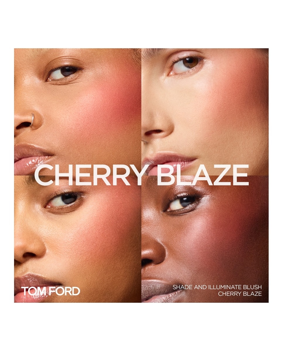 Blush Iluminador Shade And Illuminate 4 CHERRY BLAZE-3