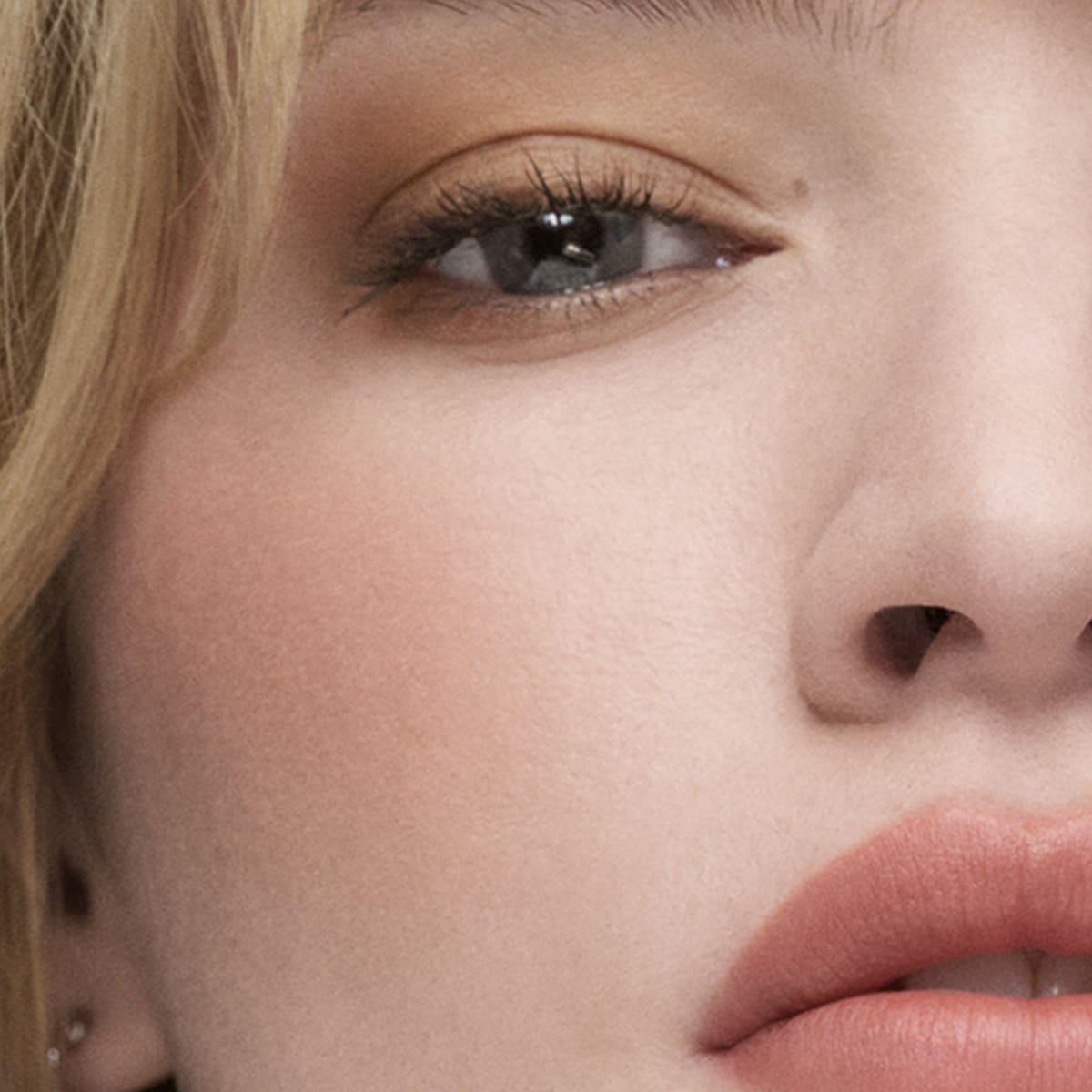 The Sculpting Blush MAGNET-3