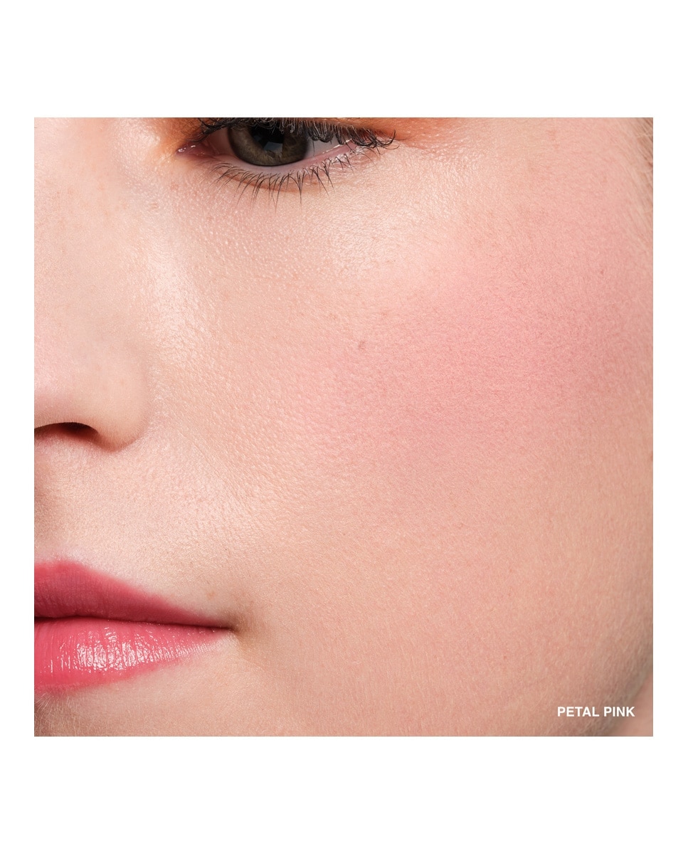 Pot Rouge Velvet Matte Petal-3