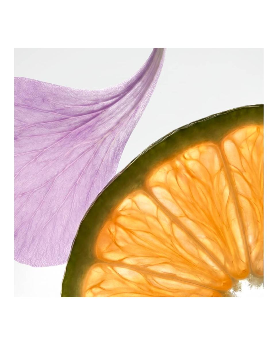 Recarga Bálsamo Labial Luminizing Care Wisteria U003-5