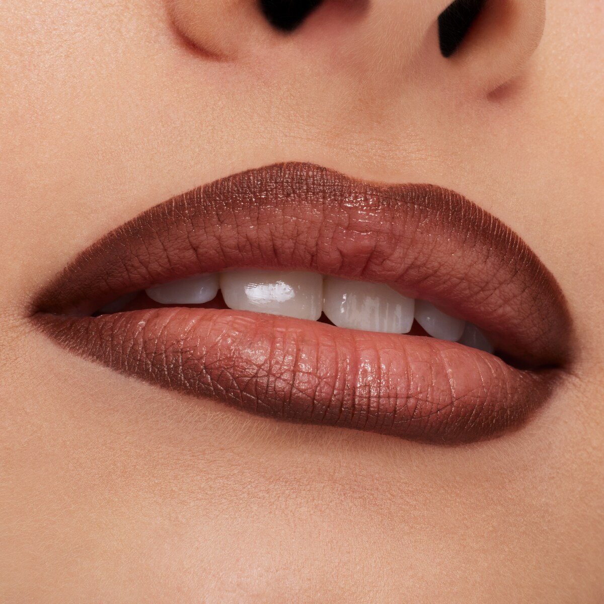 Lip Pencil / Metamorphosis Collection CHESTNUT-3