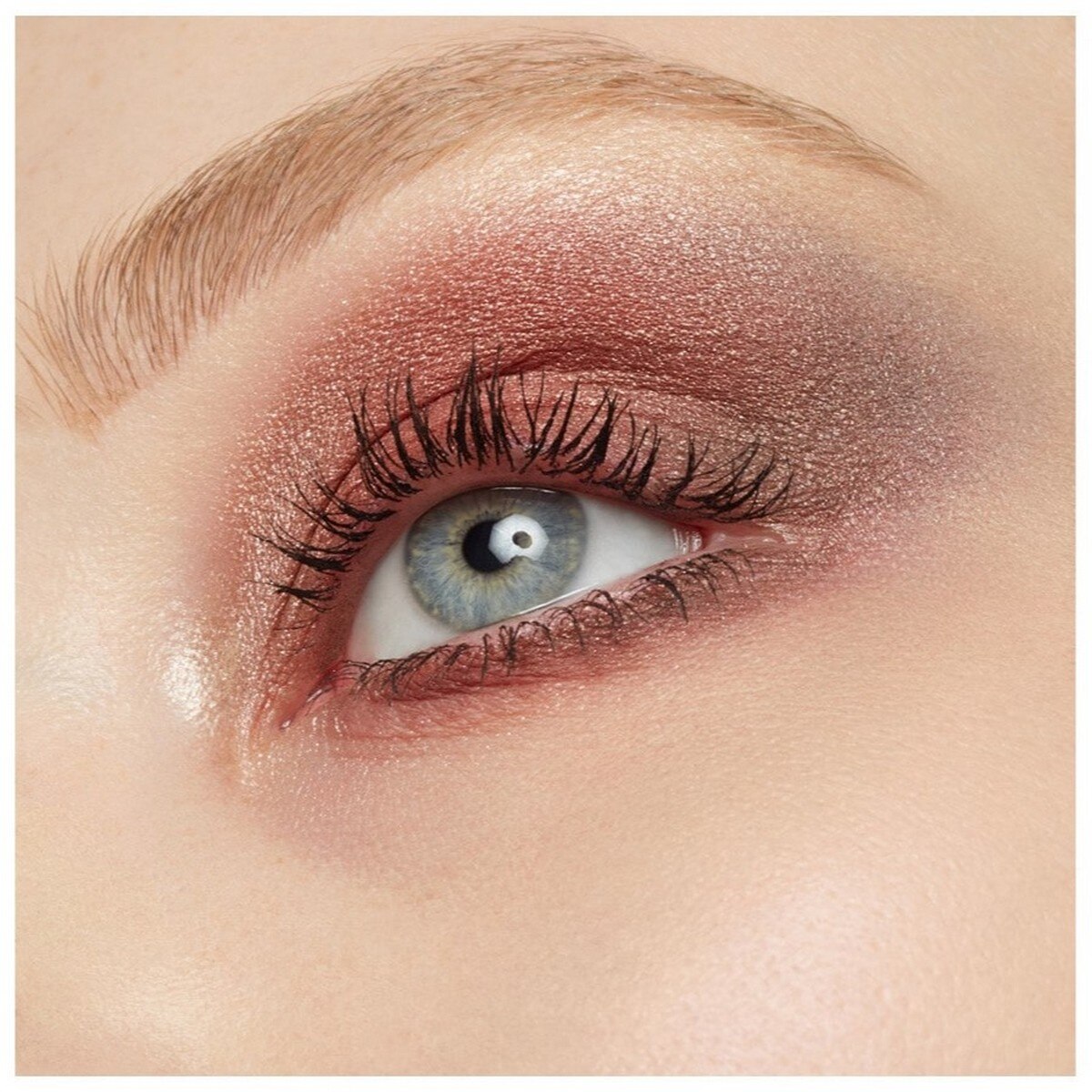 Paleta de Sombras 5 Colours CORPORATE COLOR-4