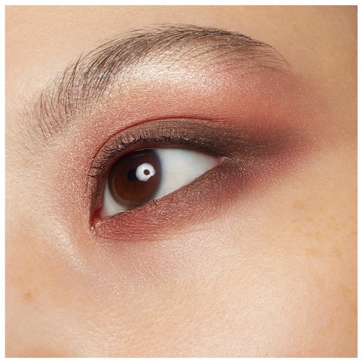 Paleta de Sombras 5 Colours CORPORATE COLOR-5