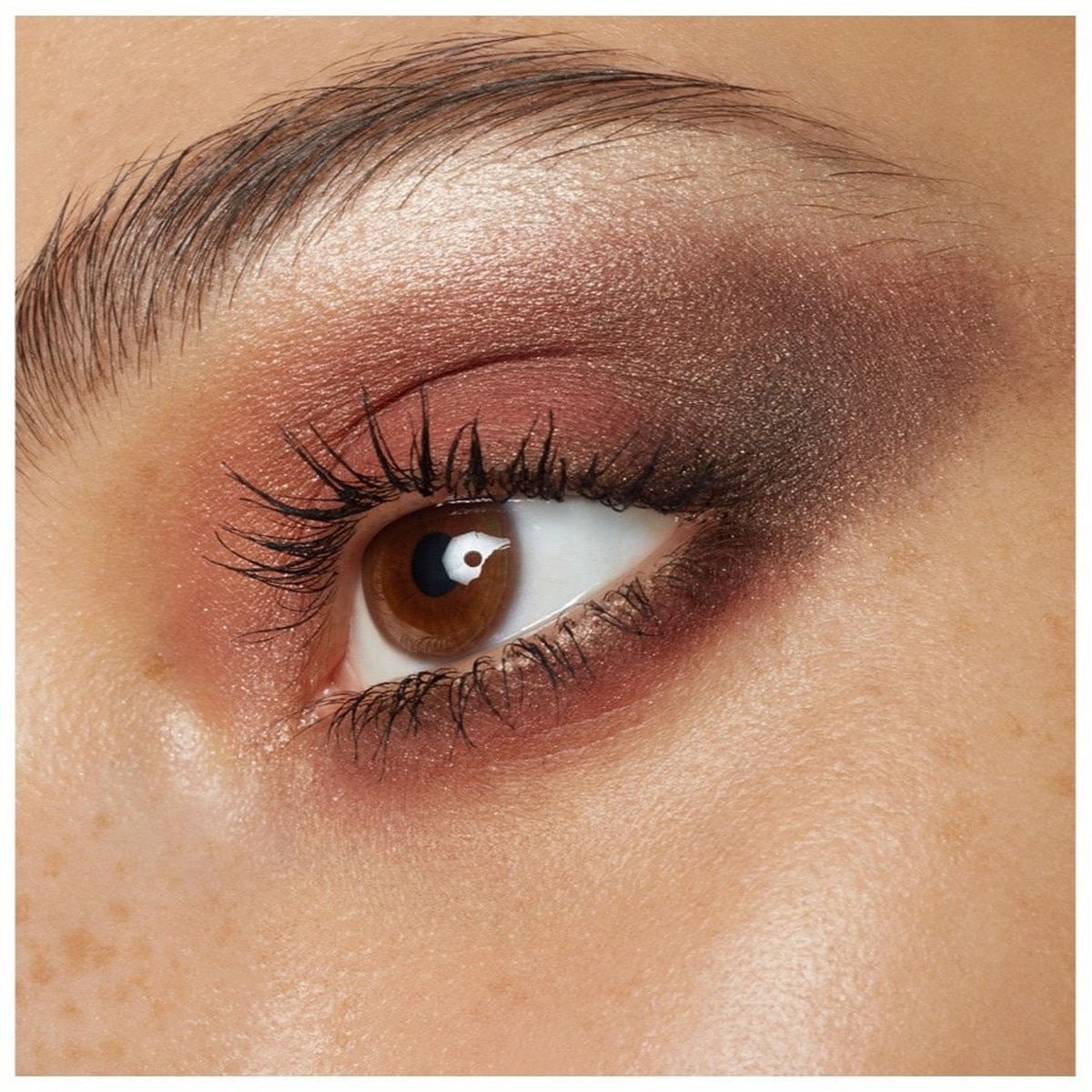 Paleta de Sombras 5 Colours CORPORATE COLOR-6