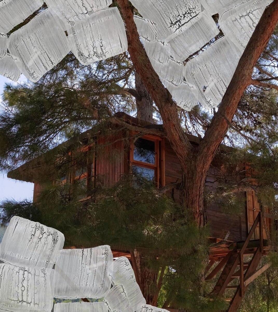Vela Aromática Tree House - 70 g 3