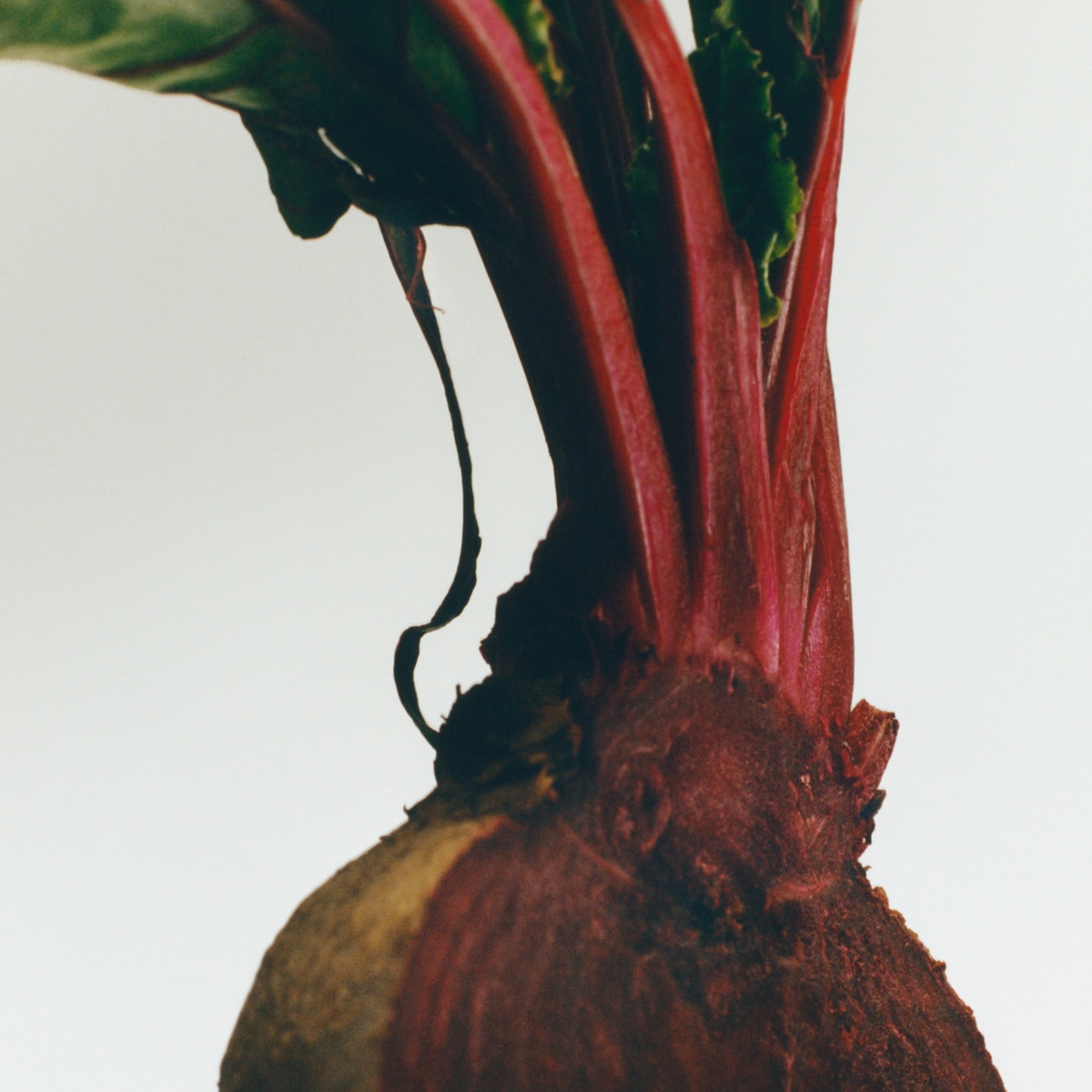 Spray Ambientador Home Scents Beetroot 3