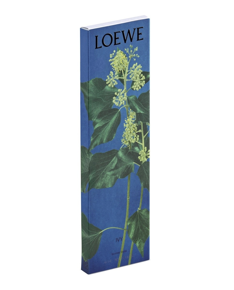 Recarga Incenso Ivy Floral-3