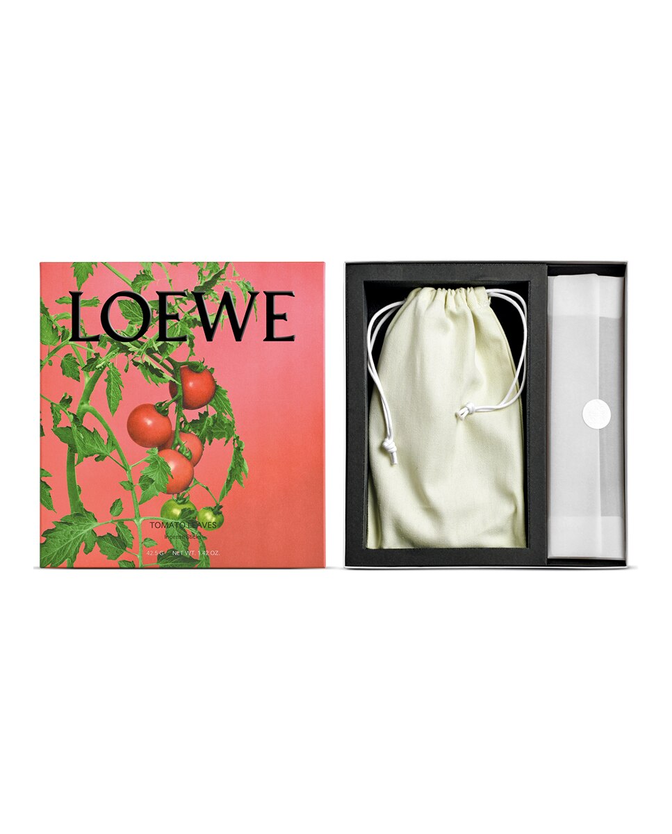 Coffret Incienso Tomato Leaves 2