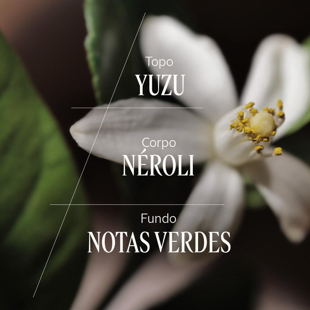 Difusor de Ambiente Néroli Yuzu 3