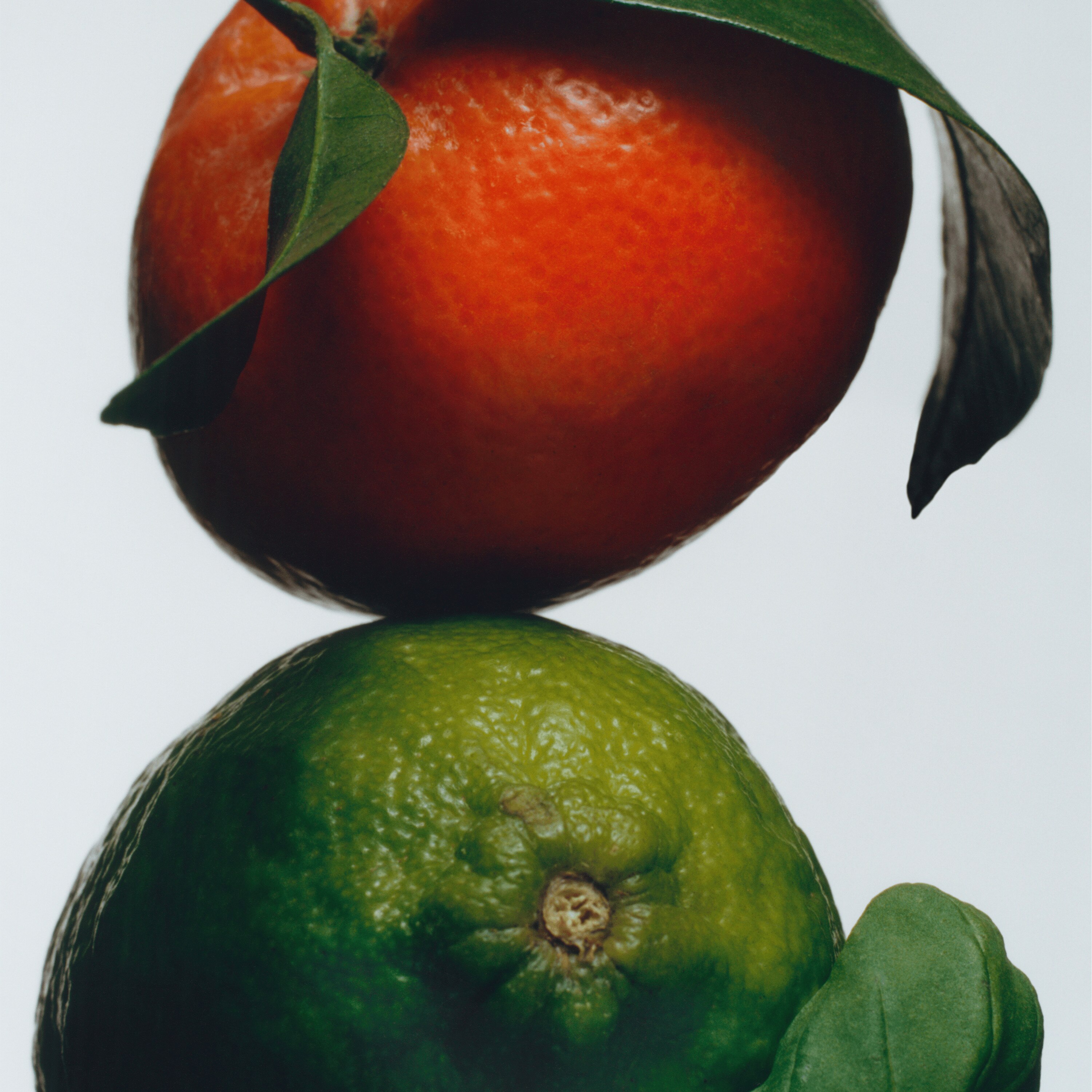 Recarga de Difusor para Automóvel Lime Basil & Mandarin 4
