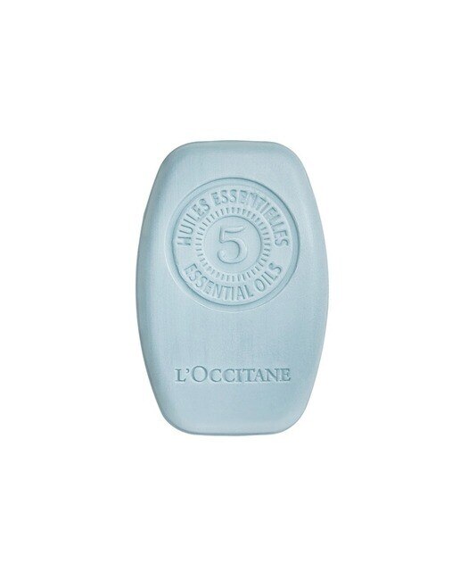 Champo Sólido Fresco Purificante 60ml L'occitane 1