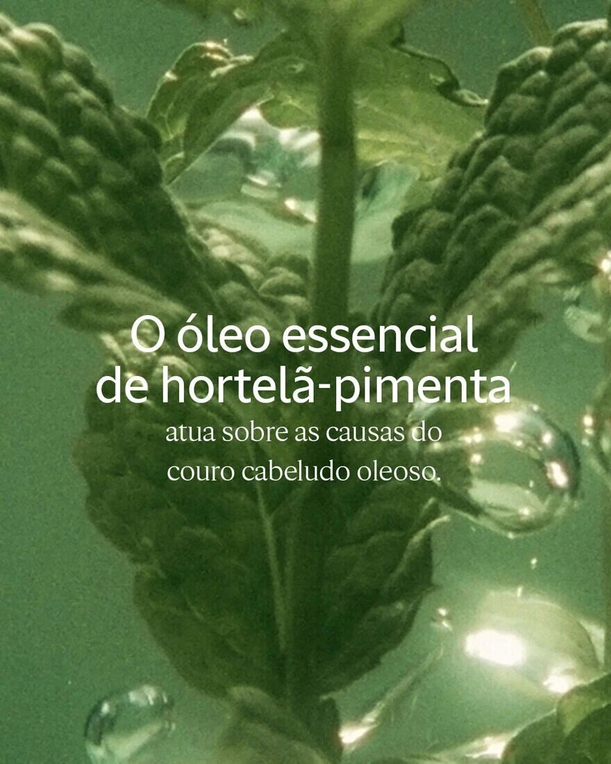Recarga Champô Pura Frescura Aromacologia 5