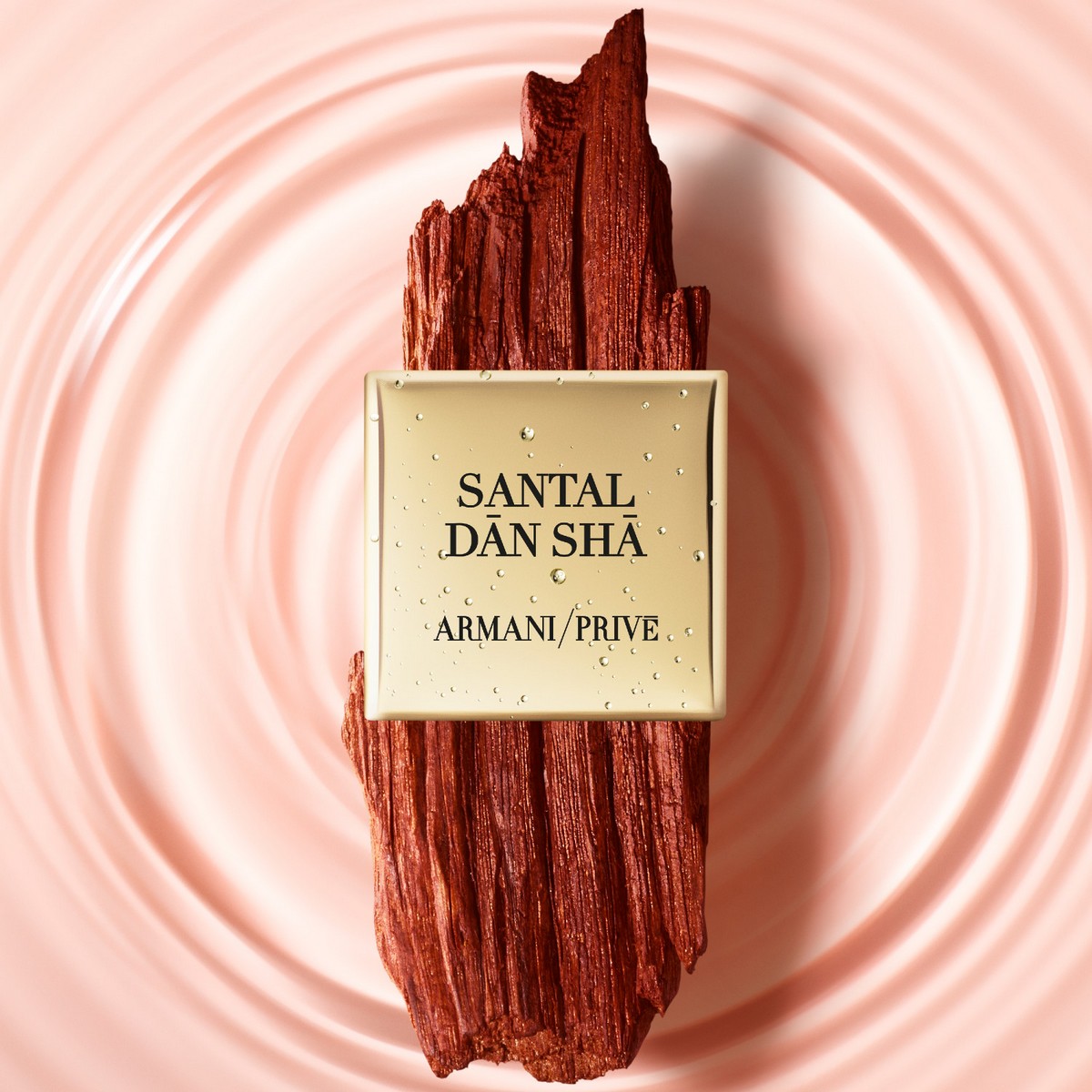 Santal Dãn Shã Armani Privé Eau de Toilette - 100 ml 6