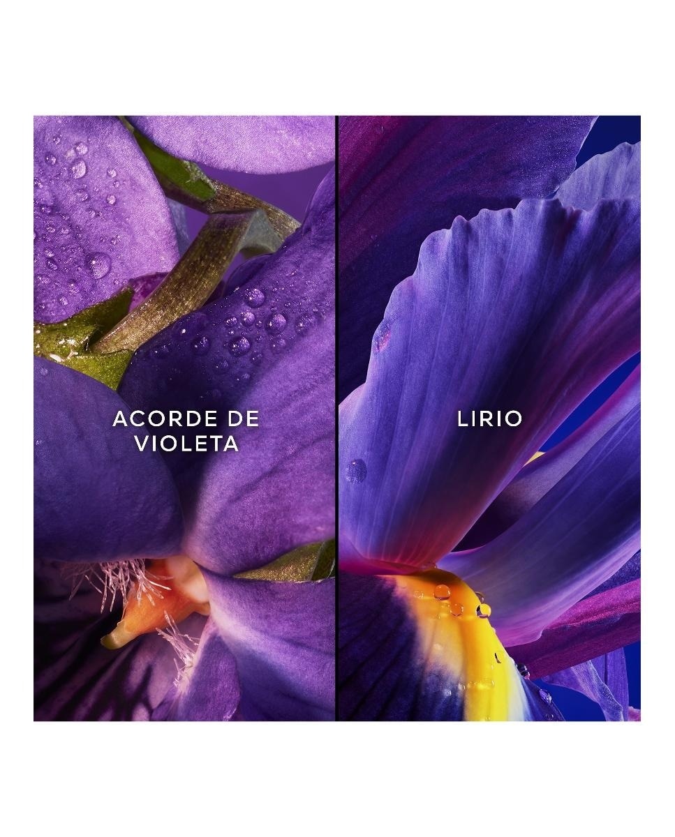 Coffret Les Légendaires Insolence 5