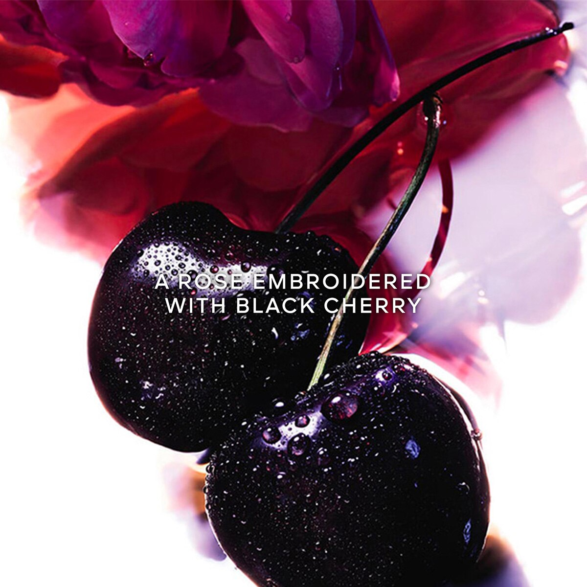 Coffret La Petite Robe Noire Eau de Parfum Intense 5