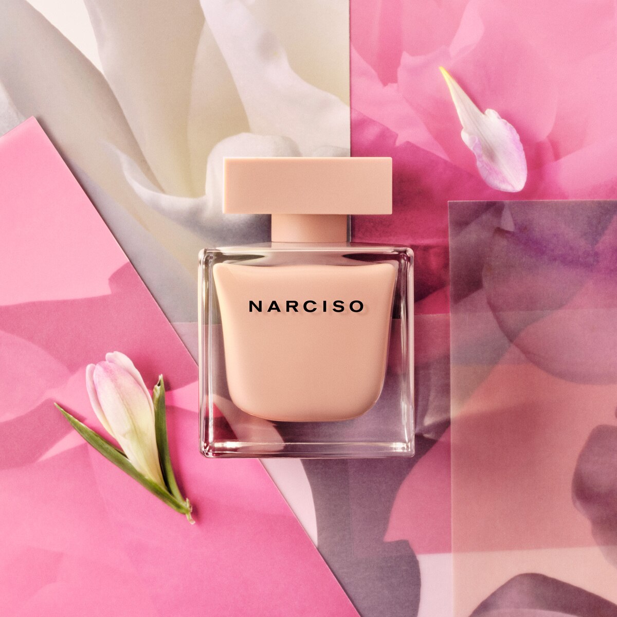 Coffret Narciso Poudrée Eau de Parfum 2