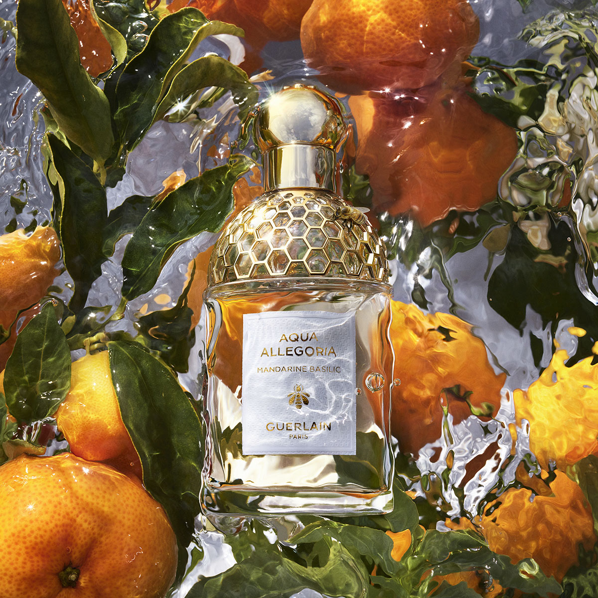 Coffret Aqua Allegoria Mandarine Basilic Eau de Toilette 4