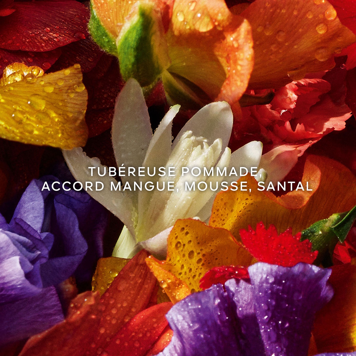 Coffret Aqua Allegoria Florabloom Eau de Parfum 5
