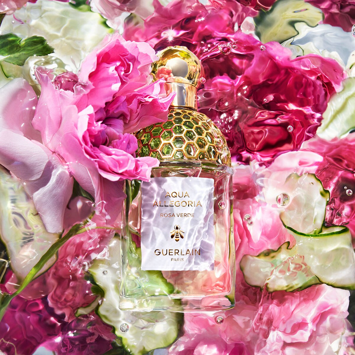 Coffret Aqua Allegoria Rosa Verde Eau de Toilette 4