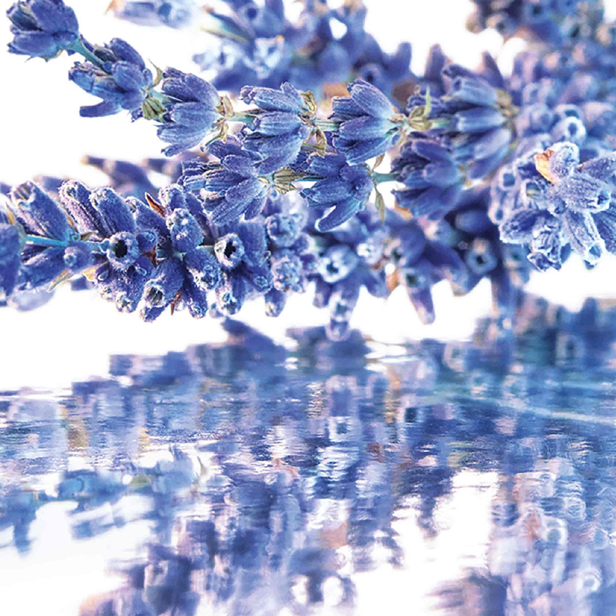 Coffret Mon Guerlain Eau de Parfum 3