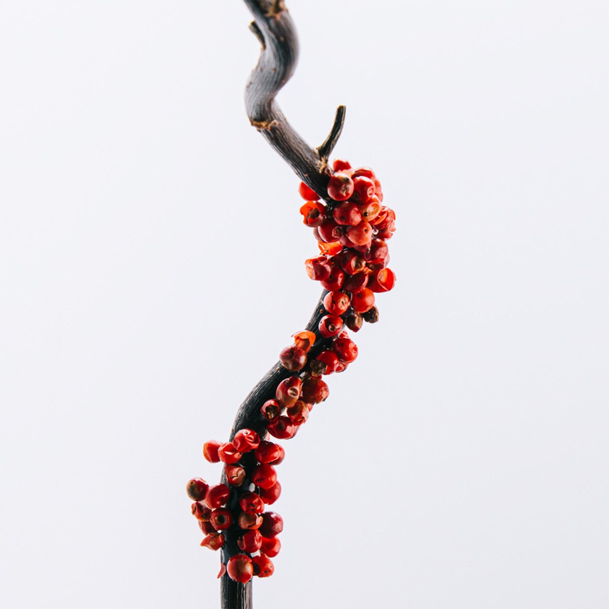 Coffret Loewe 100 ml 3