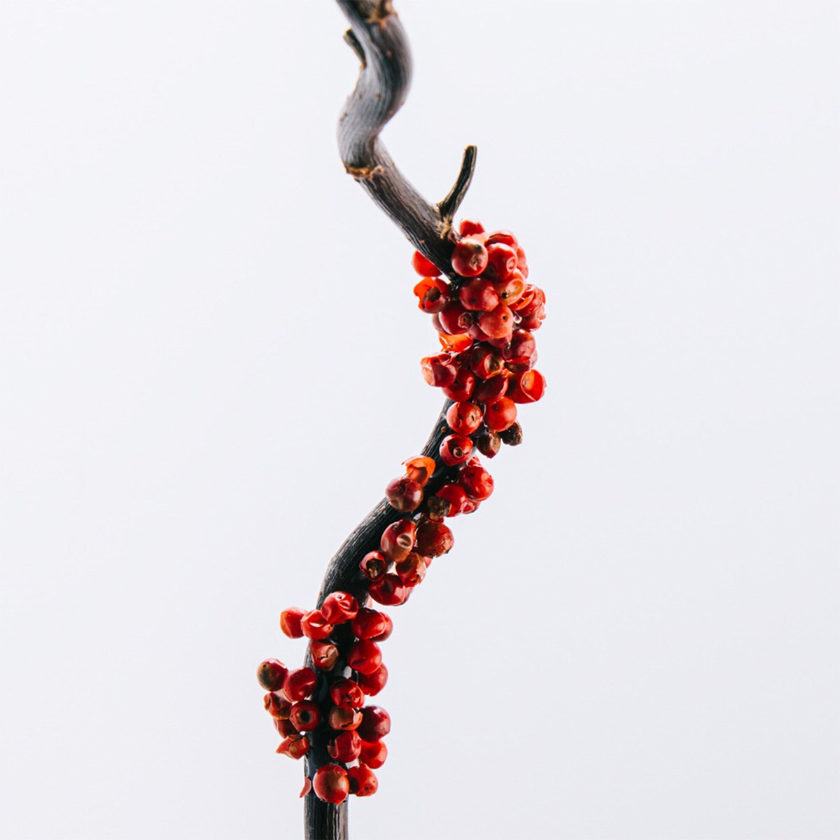 Coffret Loewe 100 ml 3