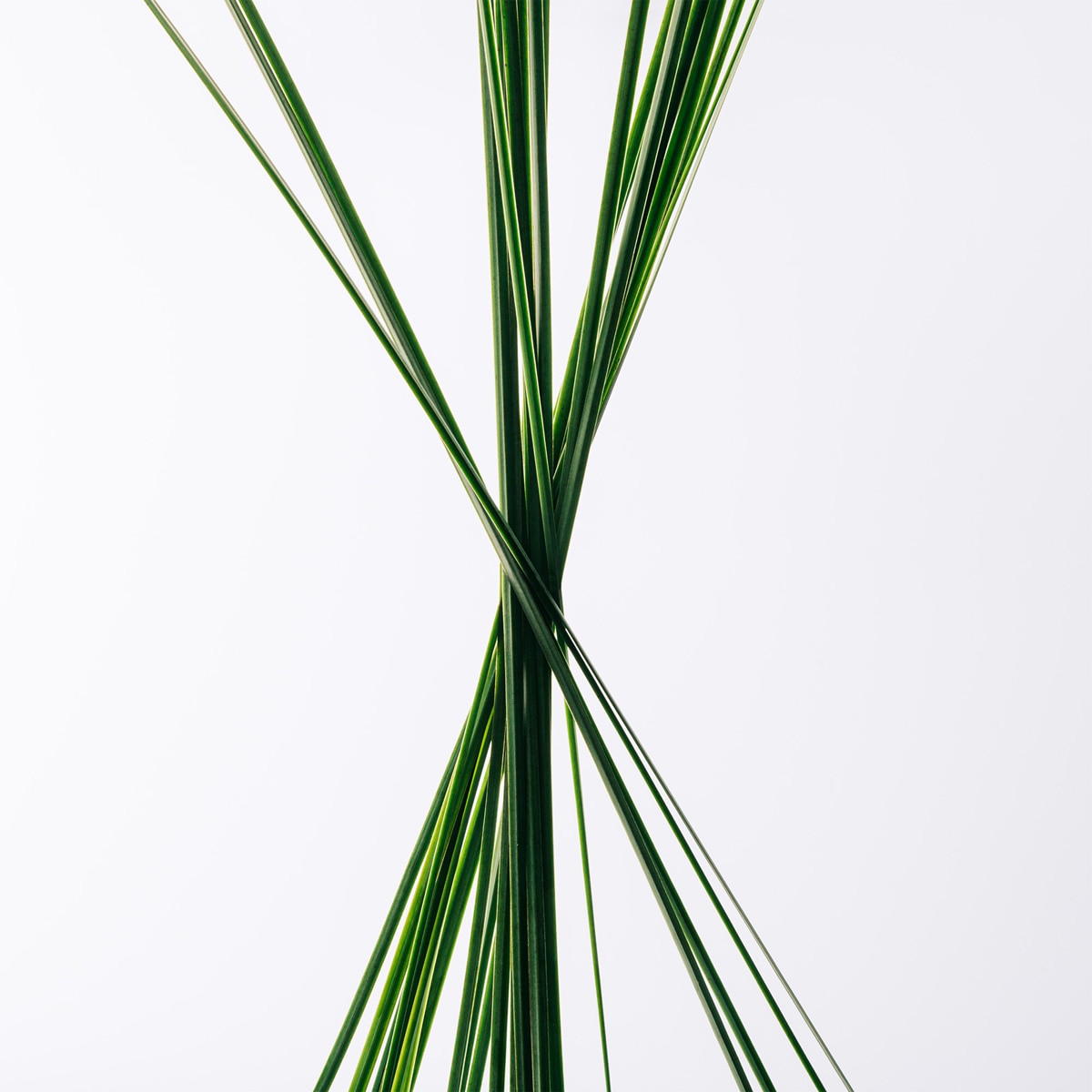 Coffret Esencia 100 ml 3