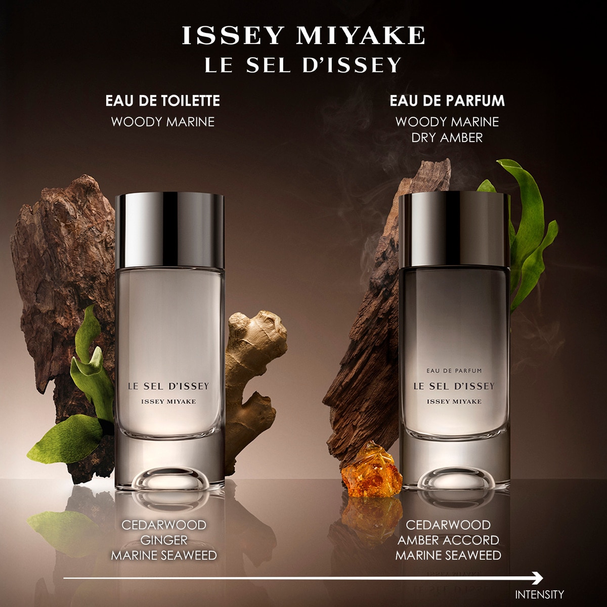 Coffret Le Sel d'Issey Eau de Toilette 4