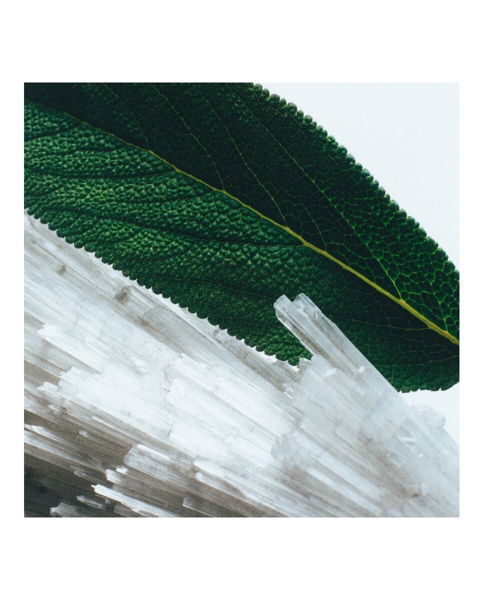 Coffret Wood Sage & Sea Salt Collection 4