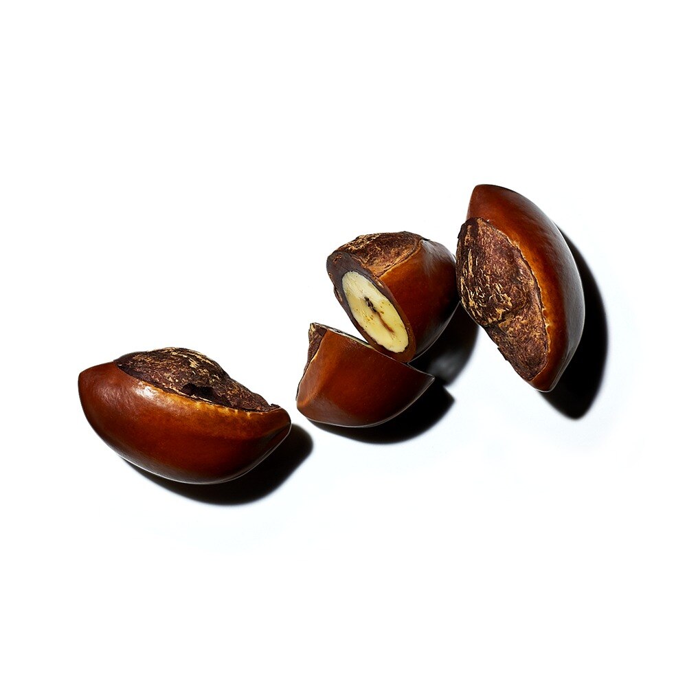 Coffret Gordíssimo 2
