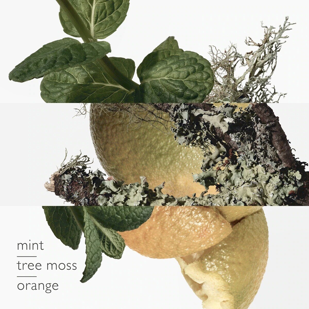 Gel de Limpeza Eau d'orange Verte - 290 ml 3