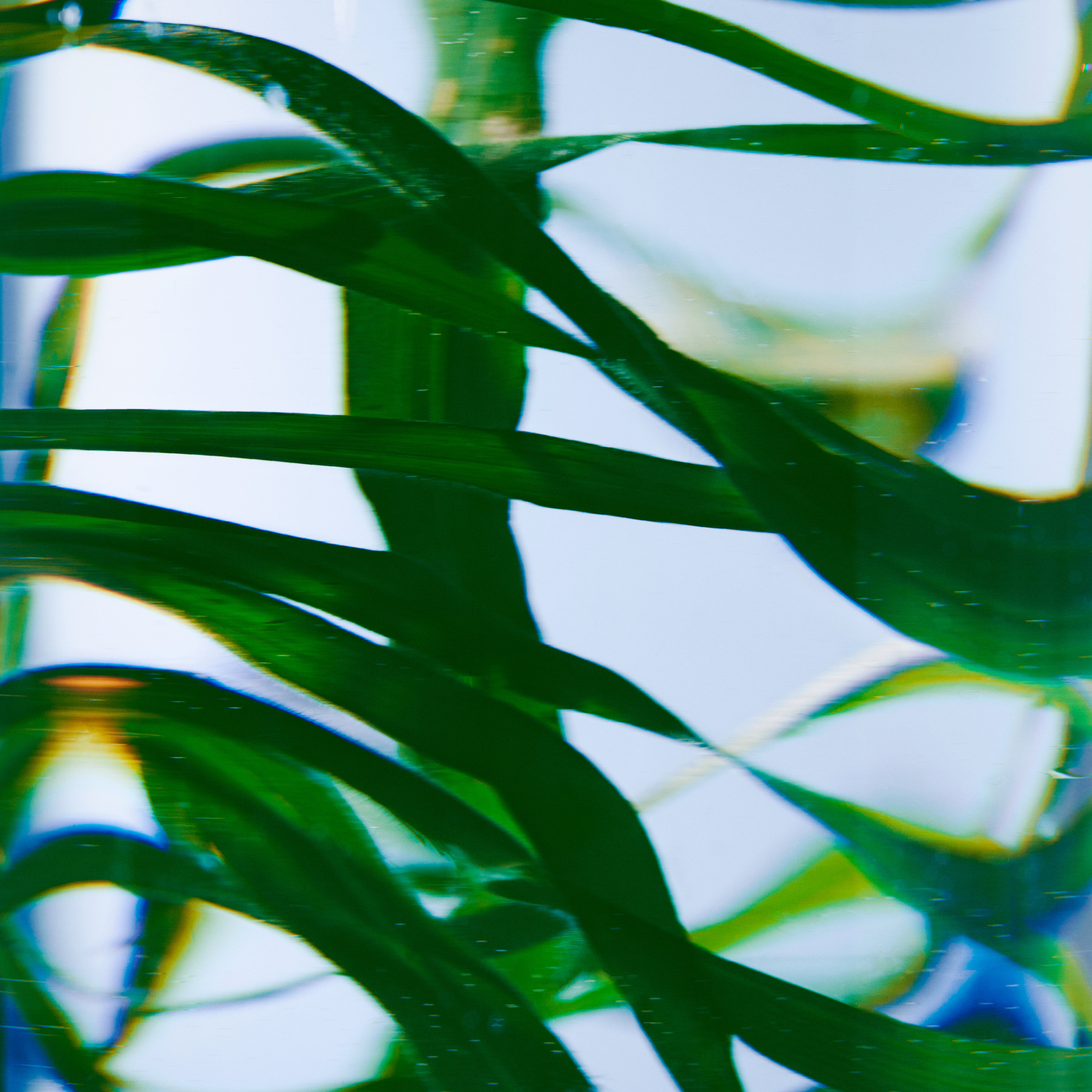 Recarga Sabonete de Mãos Vetyver 2