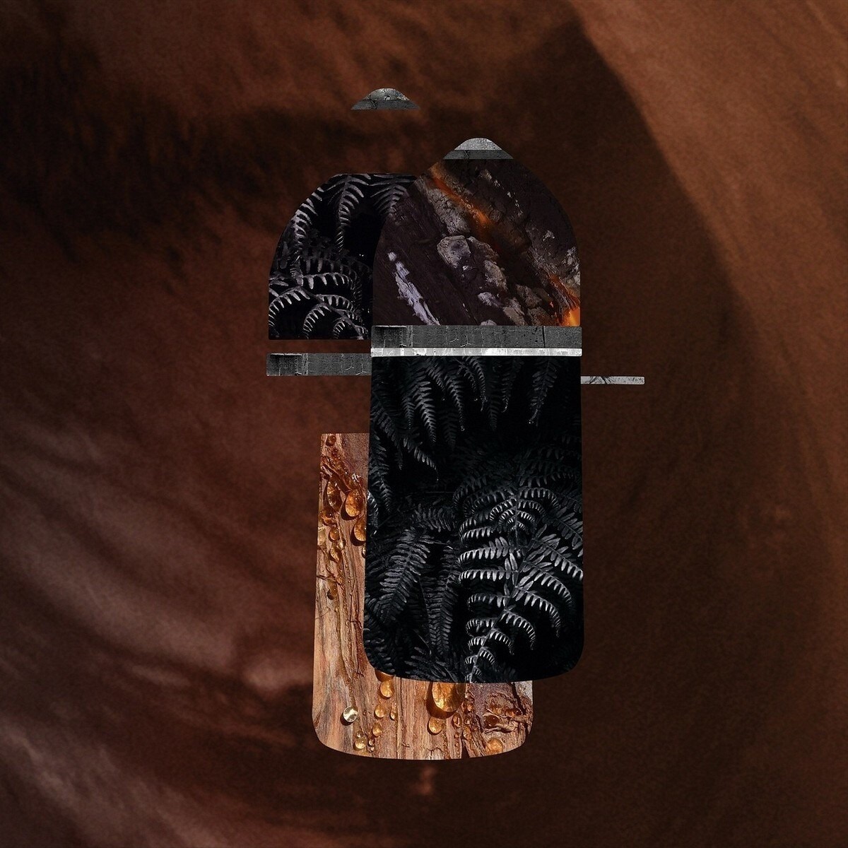 Pasha de Cartier Noir Absolu Eau de Parfum 6