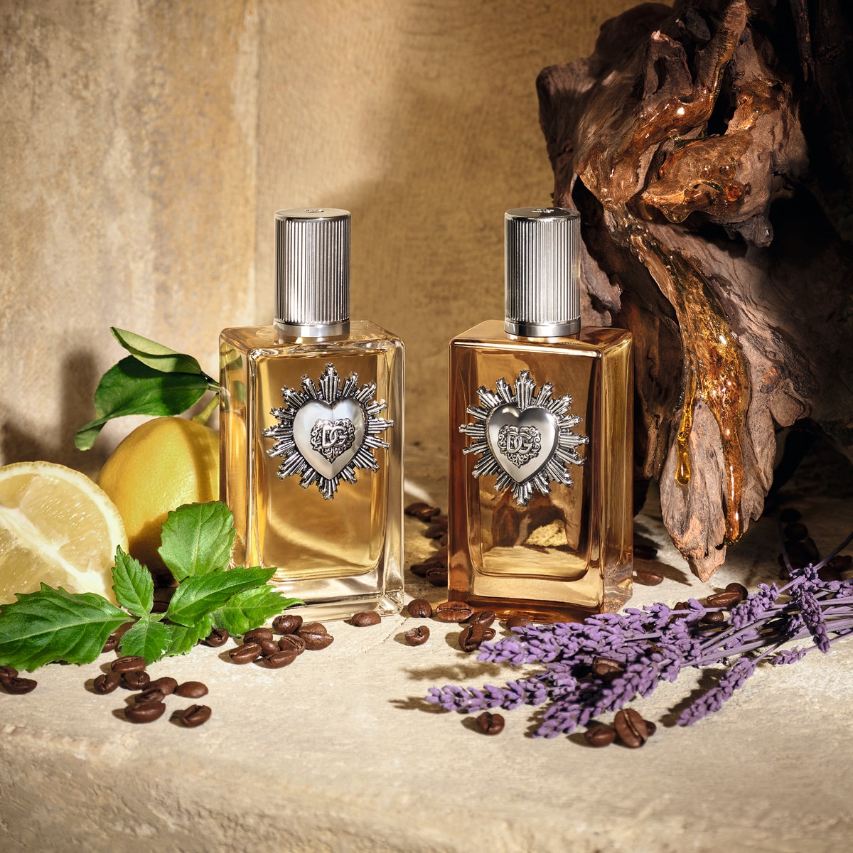 Devotion Male Parfum 4