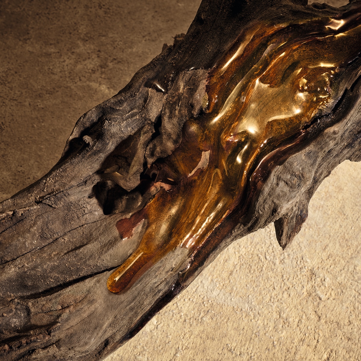 Devotion Male Parfum 6