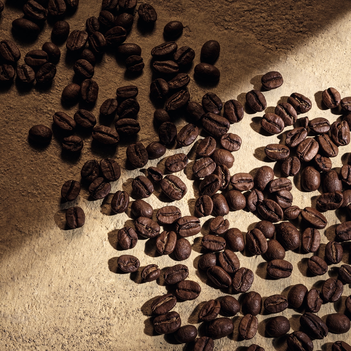 Devotion Male Parfum 8