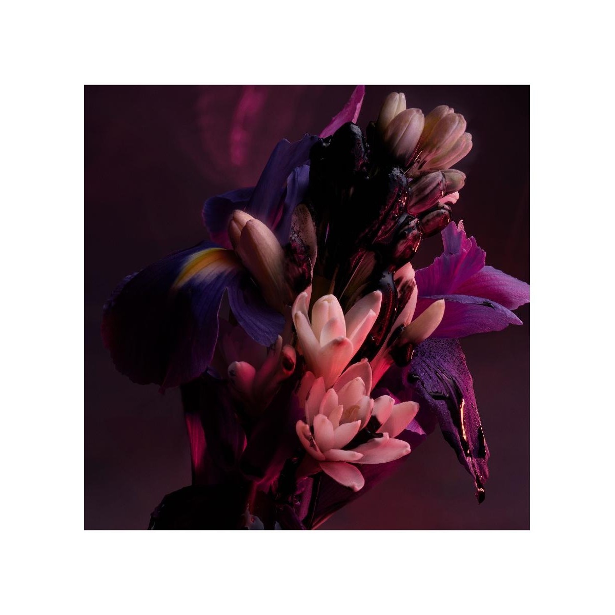 Man In Black Parfum 60ml 3