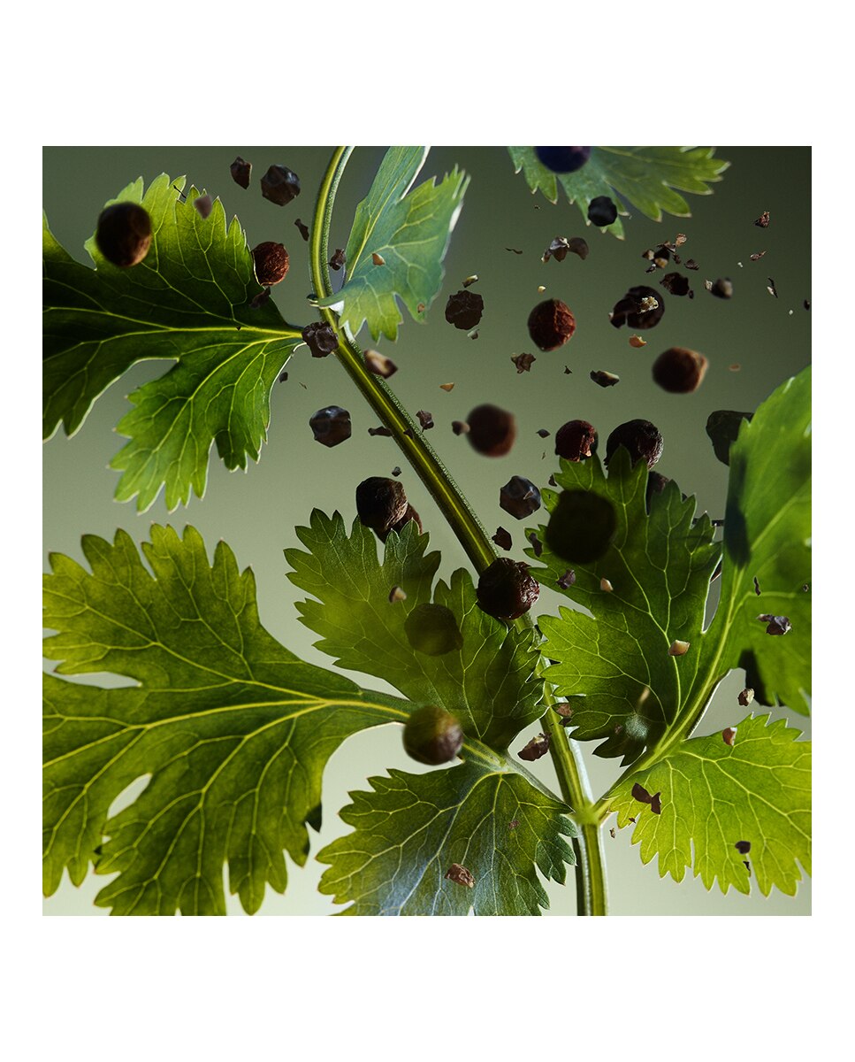 Man Wood Essence Eau de Parfum 6